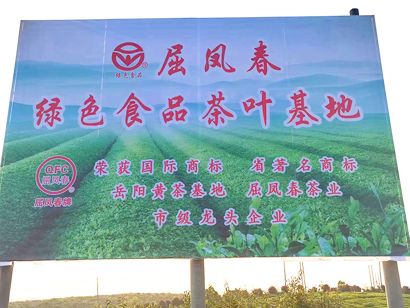屈凤春绿色食品茶叶基地