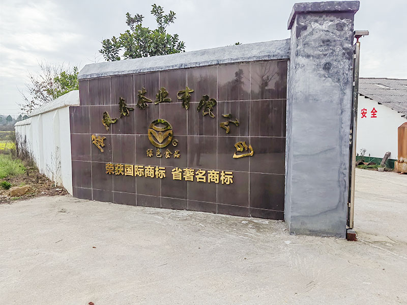公司大门口