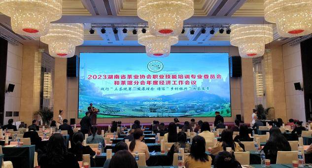共同书写湘茶产业助力“乡村振兴”中职业技能和湘派茶馆新篇章